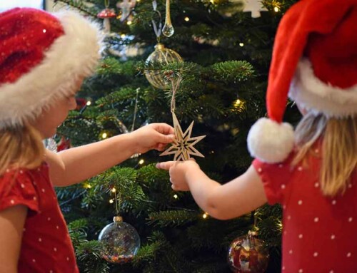 All about the Christmas tree