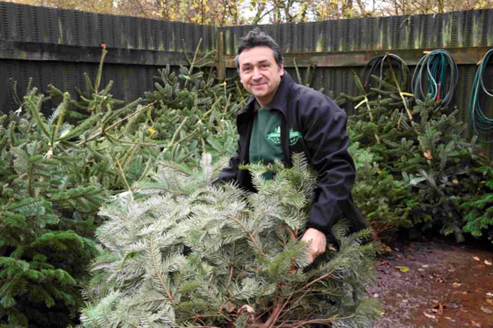 Nick Hendy from Langford Lakes Christmas Tree Farm.