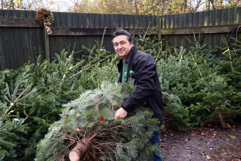 Nick Hendy from Langford Lakes Christmas Tree Farm recycles a Christmas tree