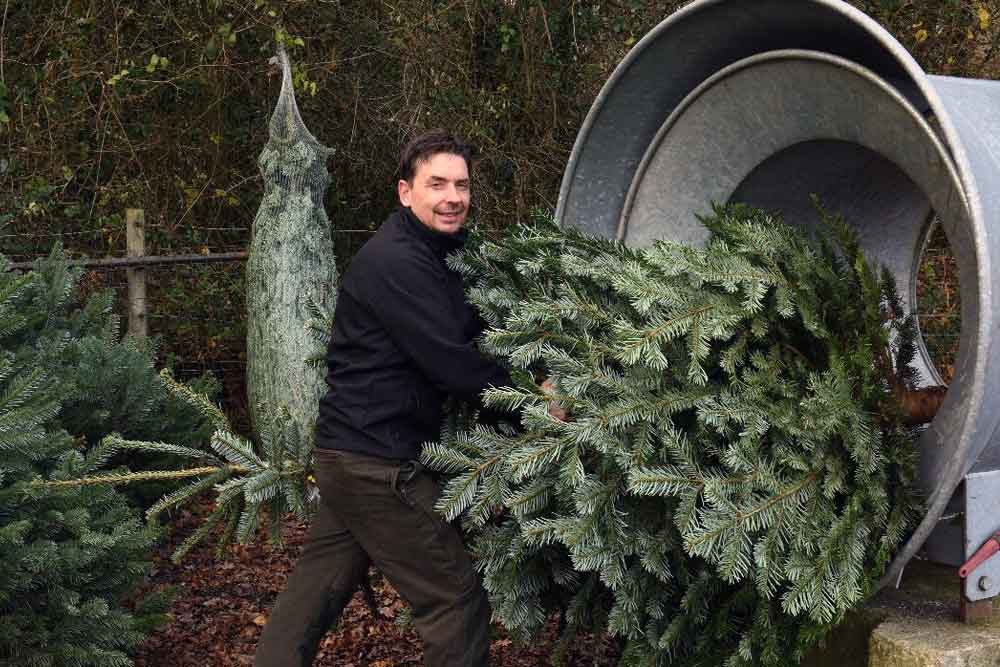 Shaun Hendy with a Christmas tree